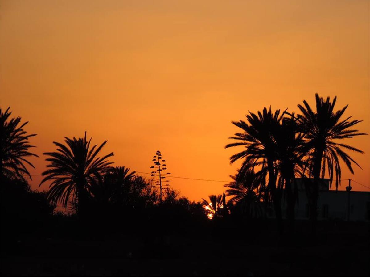 Temlale Dar Jasmin Djerba B&B 외부 사진