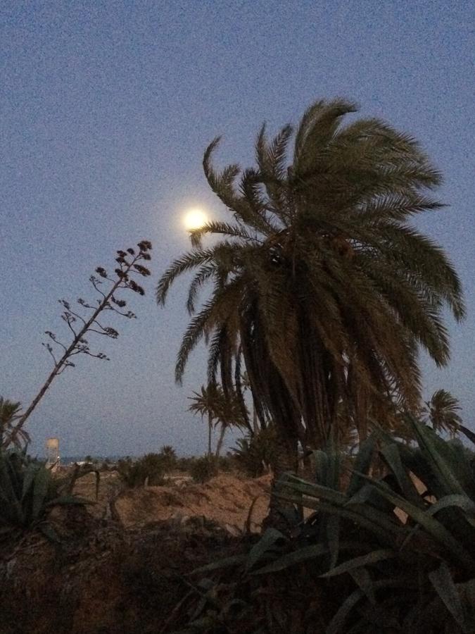 Temlale Dar Jasmin Djerba B&B 외부 사진