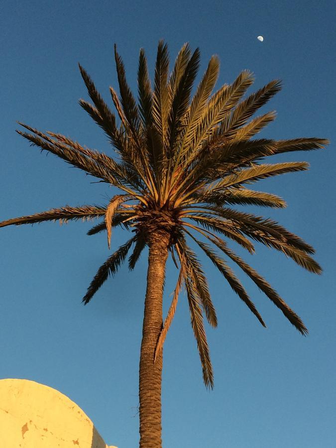 Temlale Dar Jasmin Djerba B&B 외부 사진