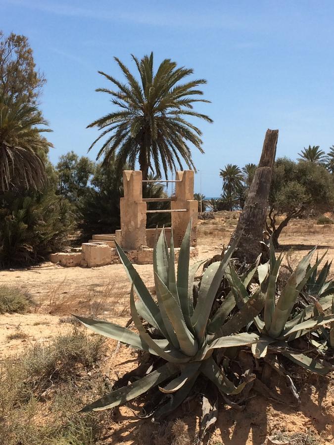 Temlale Dar Jasmin Djerba B&B 외부 사진