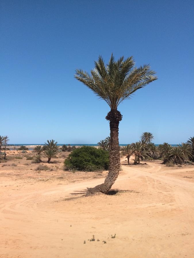 Temlale Dar Jasmin Djerba B&B 외부 사진