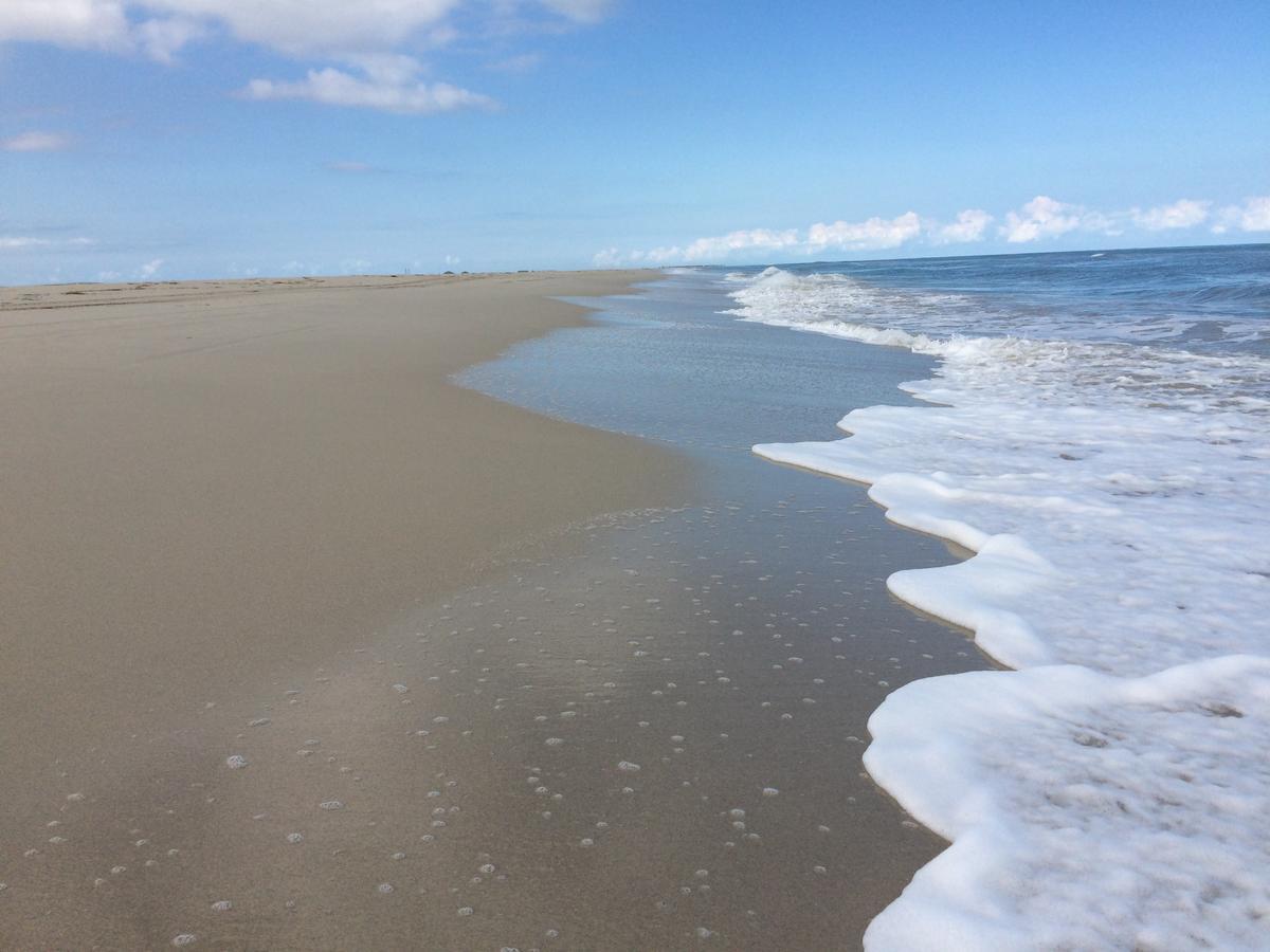 Temlale Dar Jasmin Djerba B&B 외부 사진