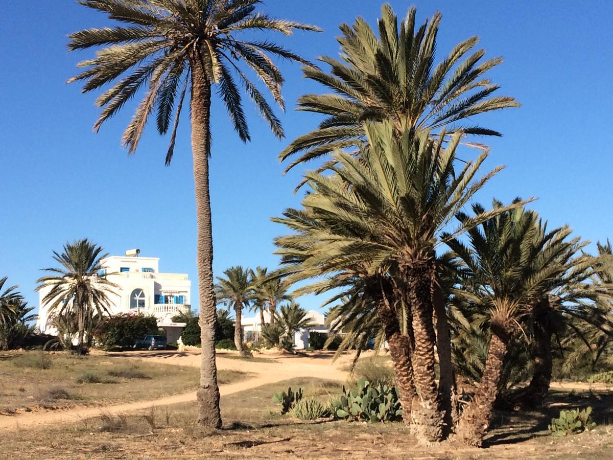 Temlale Dar Jasmin Djerba B&B 외부 사진
