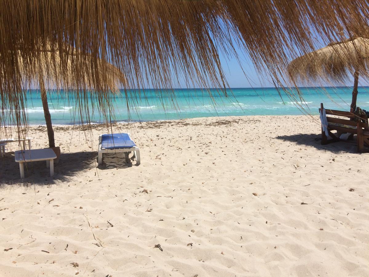 Temlale Dar Jasmin Djerba B&B 외부 사진